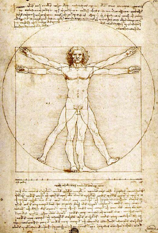 Da Vinci - Vitruvian Man